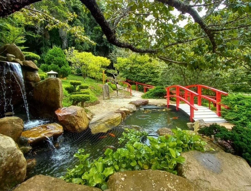 Práticas integrativas, como yoga, tai chi chuan, meditação e trilhas, marcam o Dia da Mulher (8) no Parque da Cerejeira de Campos do Jordão  