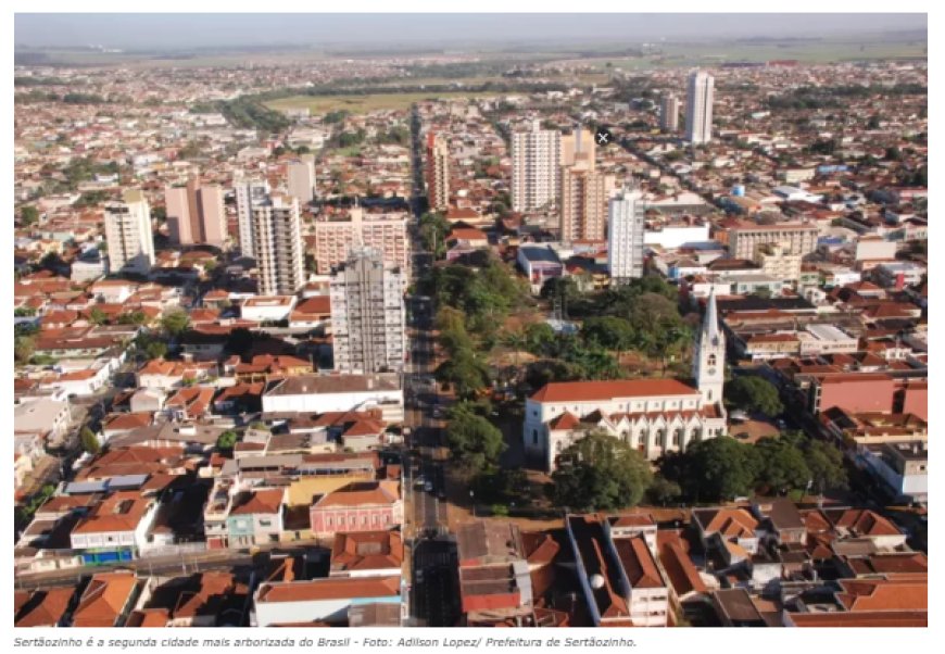 Sertãozinho é a segunda cidade mais arborizada do Brasil; Veja ranking