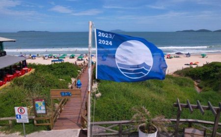 Bandeira Azul: 60 praias e marinas brasileiras são indicadas para receber premiação internacional