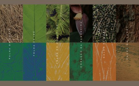 Inspirada na biodiversidade e cultura brasileira, Embratur lança nova identidade visual no Salão Nacional do Turismo 2025