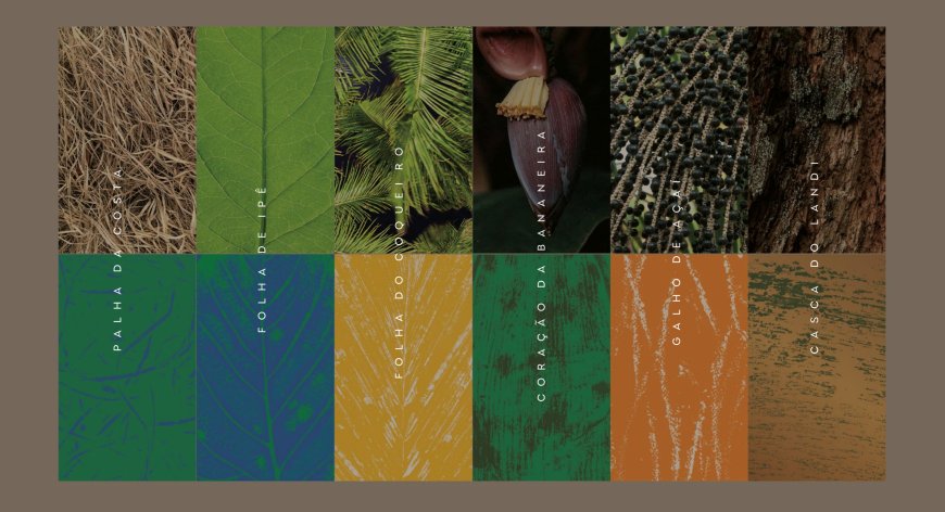 Inspirada na biodiversidade e cultura brasileira, Embratur lança nova identidade visual no Salão Nacional do Turismo 2025