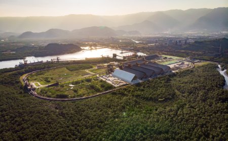 VLI e Tereos realizam primeira operação ferroviária de açúcar com compensação de carbono do país