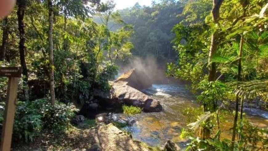 Outubro especial: crianças entram de graça em quatro parques naturais brasileiros
