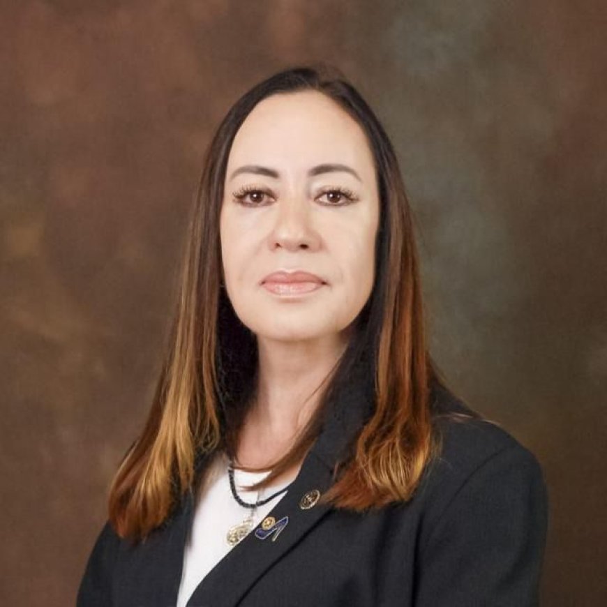 DISTRITO 4540 DO ROTARY APRESENTA REVISTA IRA