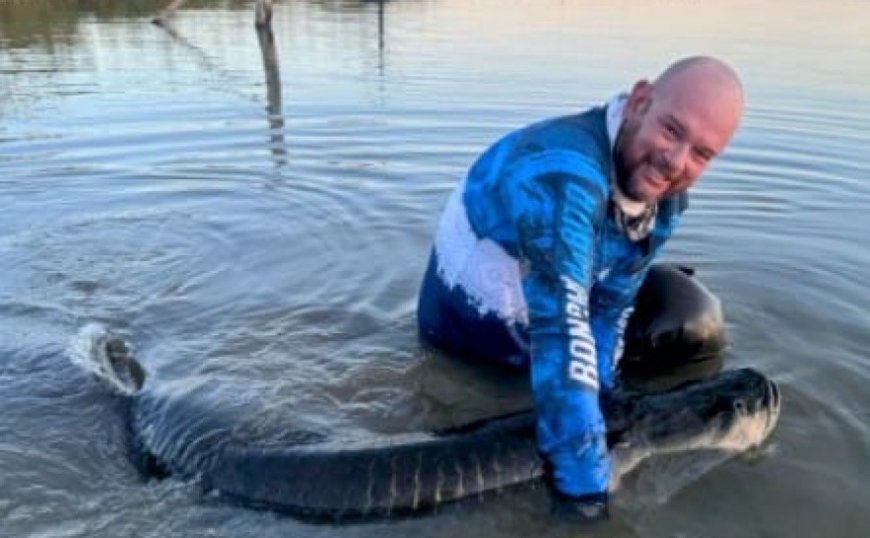 Pescador esportivo fisga pirarucu de 1,80 m no Lago de Palmas e atrai interesse sobre o turismo de pesca