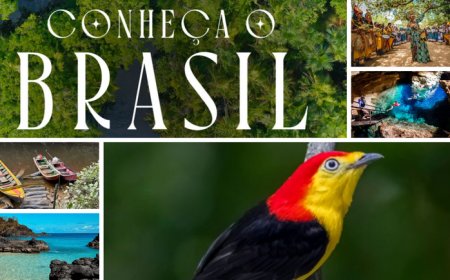 Catálogo de Experiências da COP30 revela um Brasil sustentável com destaque especial para o Pará e a Amazônia