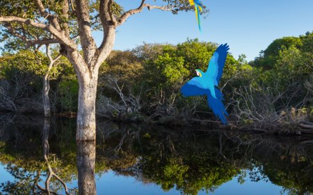 No quarto dia da COP 30 o tema principal foi o bem-estar humano no centro da ação climática,