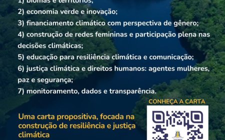 Grupo Mulheres do Brasil presente na COP 30