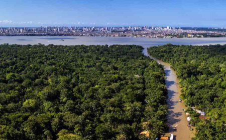 Sistemas de alerta precoce atingem novos patamares, mas lacunas críticas comprometem o progresso global