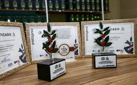 Concurso estadual premia os melhores cafés de São Paulo na próxima terça (18)