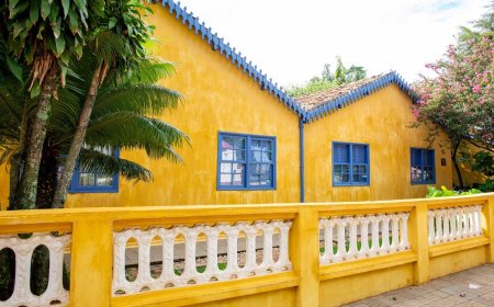 Museu Casa de Portinari promove visita educativa sustentável e celebra Dia da Consciência Negra