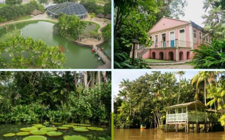 Belém (PA) e os roteiros de natureza e sustentabilidade da Amazônia