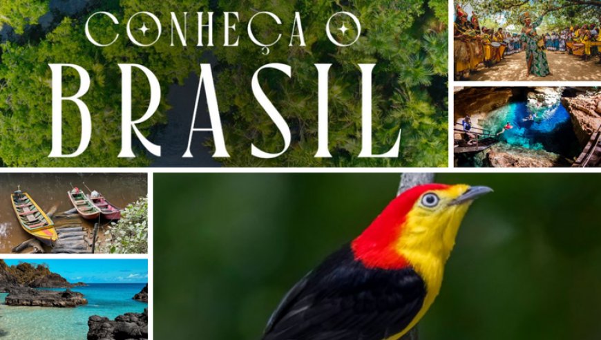 Catálogo de Experiências da COP30 revela um Brasil sustentável com destaque especial para o Pará e a Amazônia