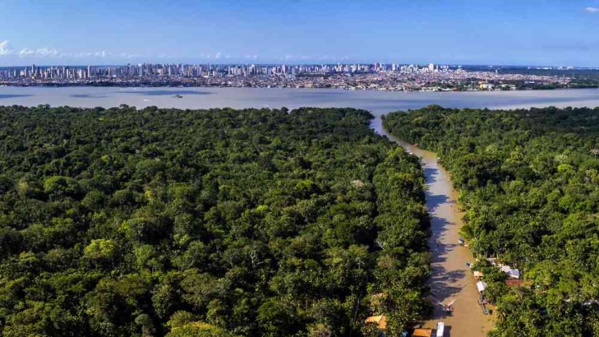 Sistemas de alerta precoce atingem novos patamares, mas lacunas críticas comprometem o progresso global