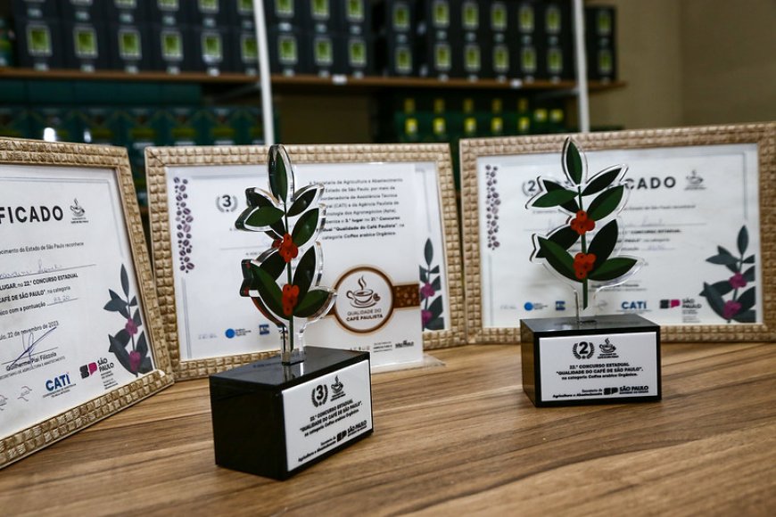 Concurso estadual premia os melhores cafés de São Paulo na próxima terça (18)