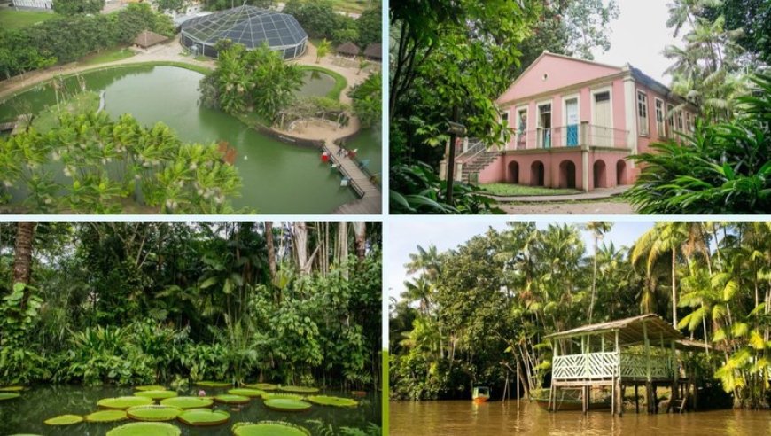 Belém (PA) e os roteiros de natureza e sustentabilidade da Amazônia