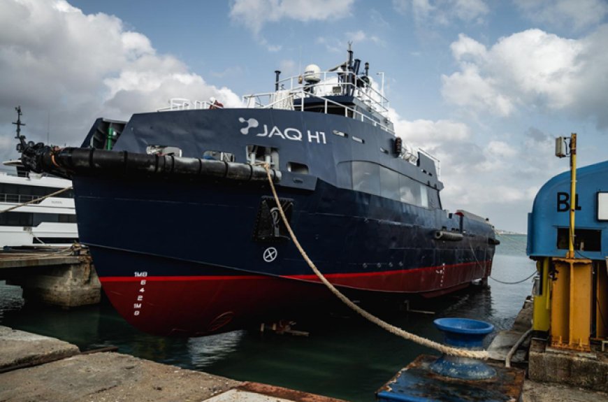 PORTO BRASIL INOVA COM LINHA SUSTENTÁVEL NA COP30