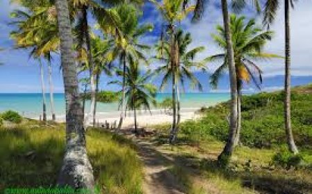 Tradição, a importância de manter a história   