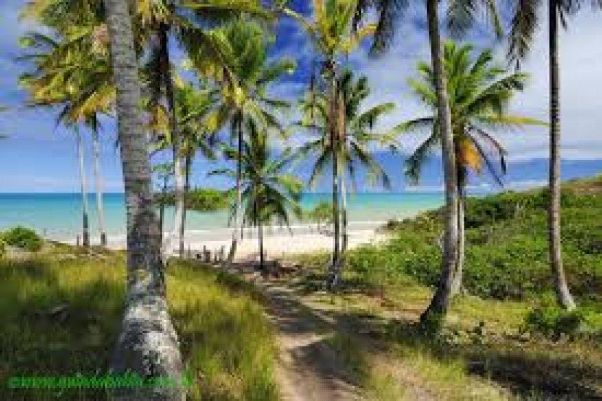 Tradição, a importância de manter a história   