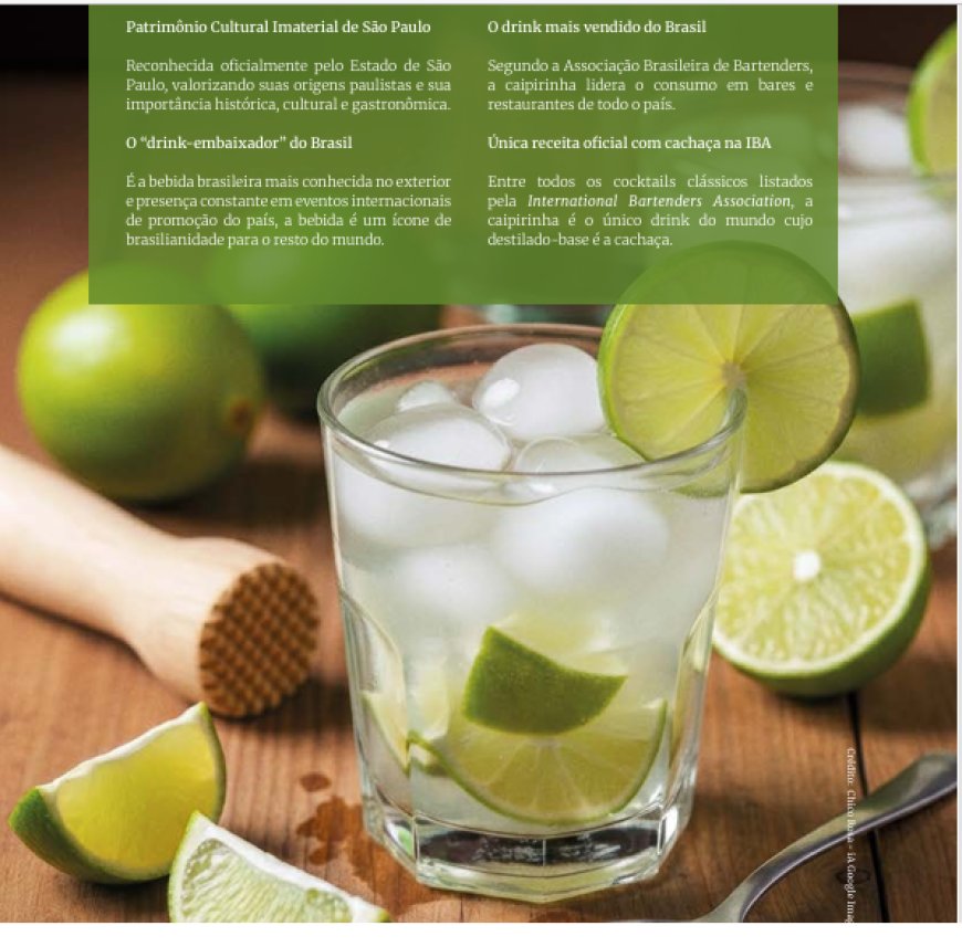 Rota da Cachaça disponível em revista digital