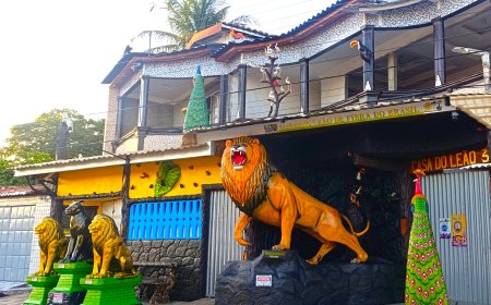 Maior Leão de Resina do Brasil – Casa do Leão 312