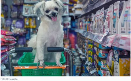 Capacitação do trade turístico impulsiona destinos pet friendly e melhora a receptividade ao turista