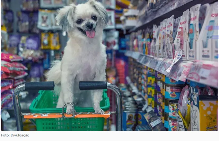 Capacitação do trade turístico impulsiona destinos pet friendly e melhora a receptividade ao turista