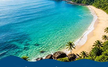 Feriado de 7 de Setembro: 8 em cada 10 praias do litoral de SP estão próprias para banho